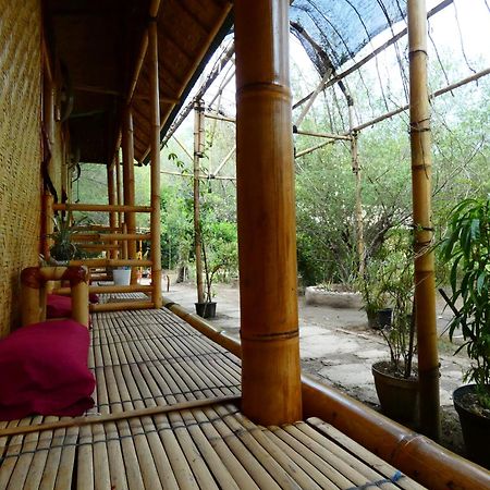 Uncle Hippie'S Dream Hostel Gili Meno Εξωτερικό φωτογραφία