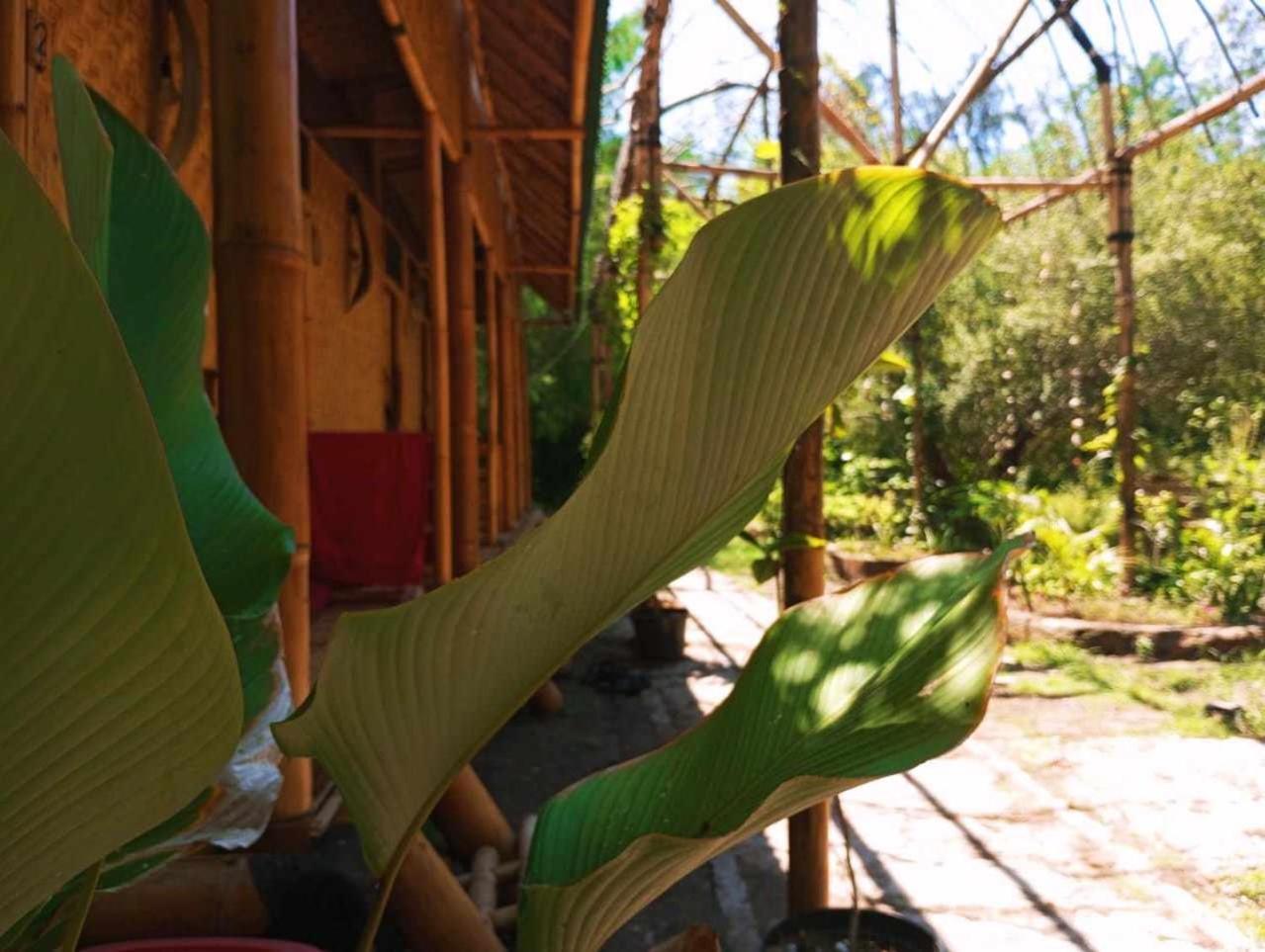 Uncle Hippie'S Dream Hostel Gili Meno Εξωτερικό φωτογραφία