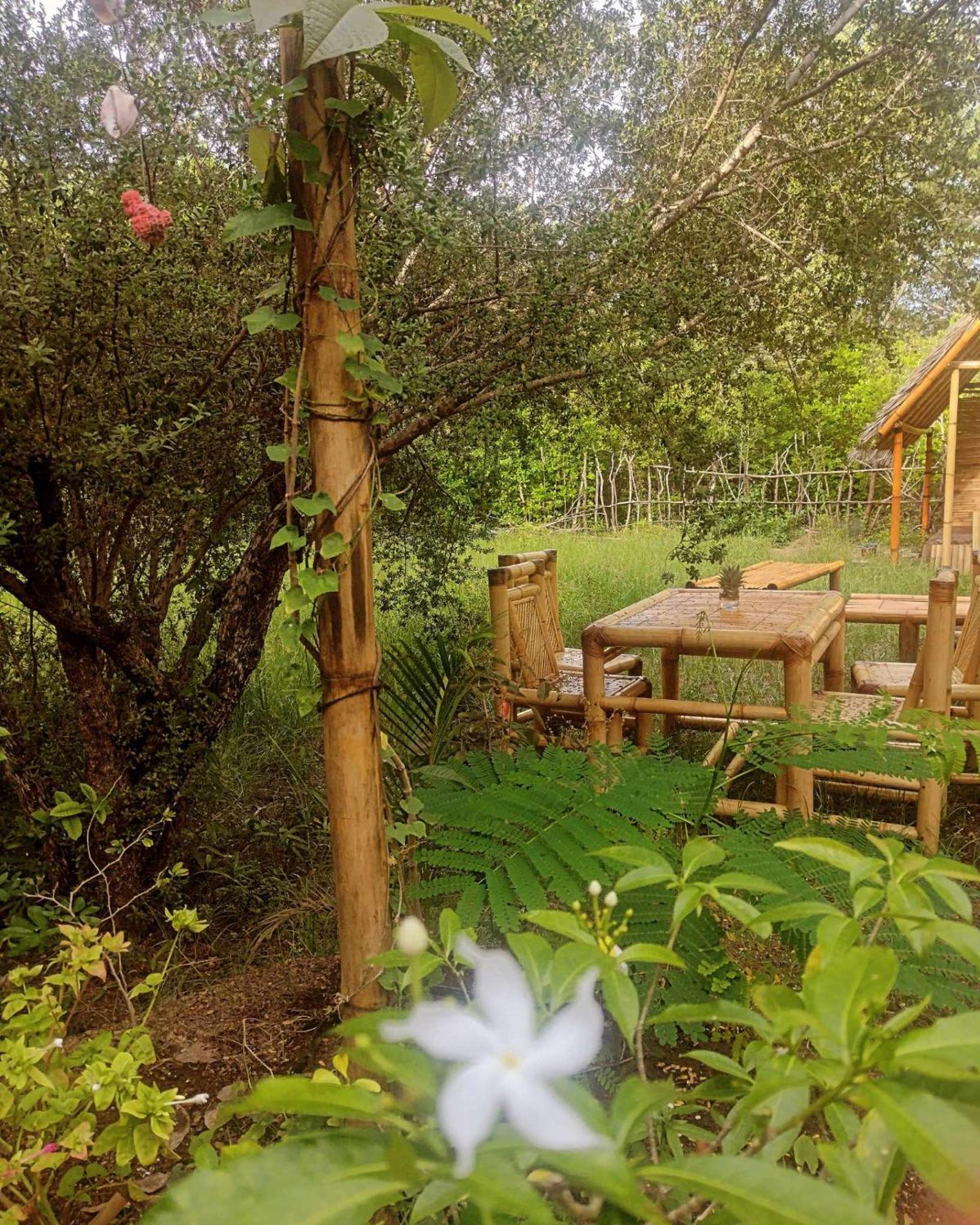 Uncle Hippie'S Dream Hostel Gili Meno Εξωτερικό φωτογραφία