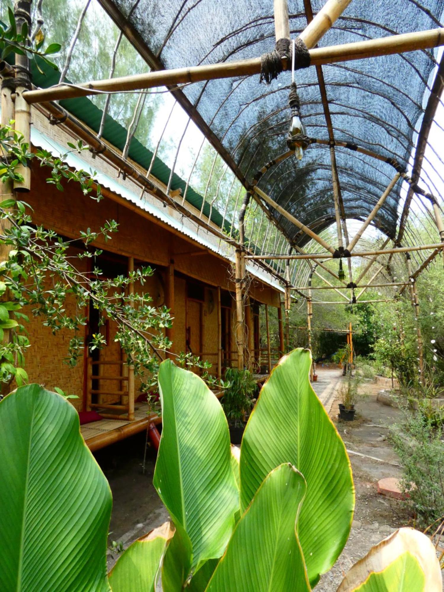 Uncle Hippie'S Dream Hostel Gili Meno Εξωτερικό φωτογραφία