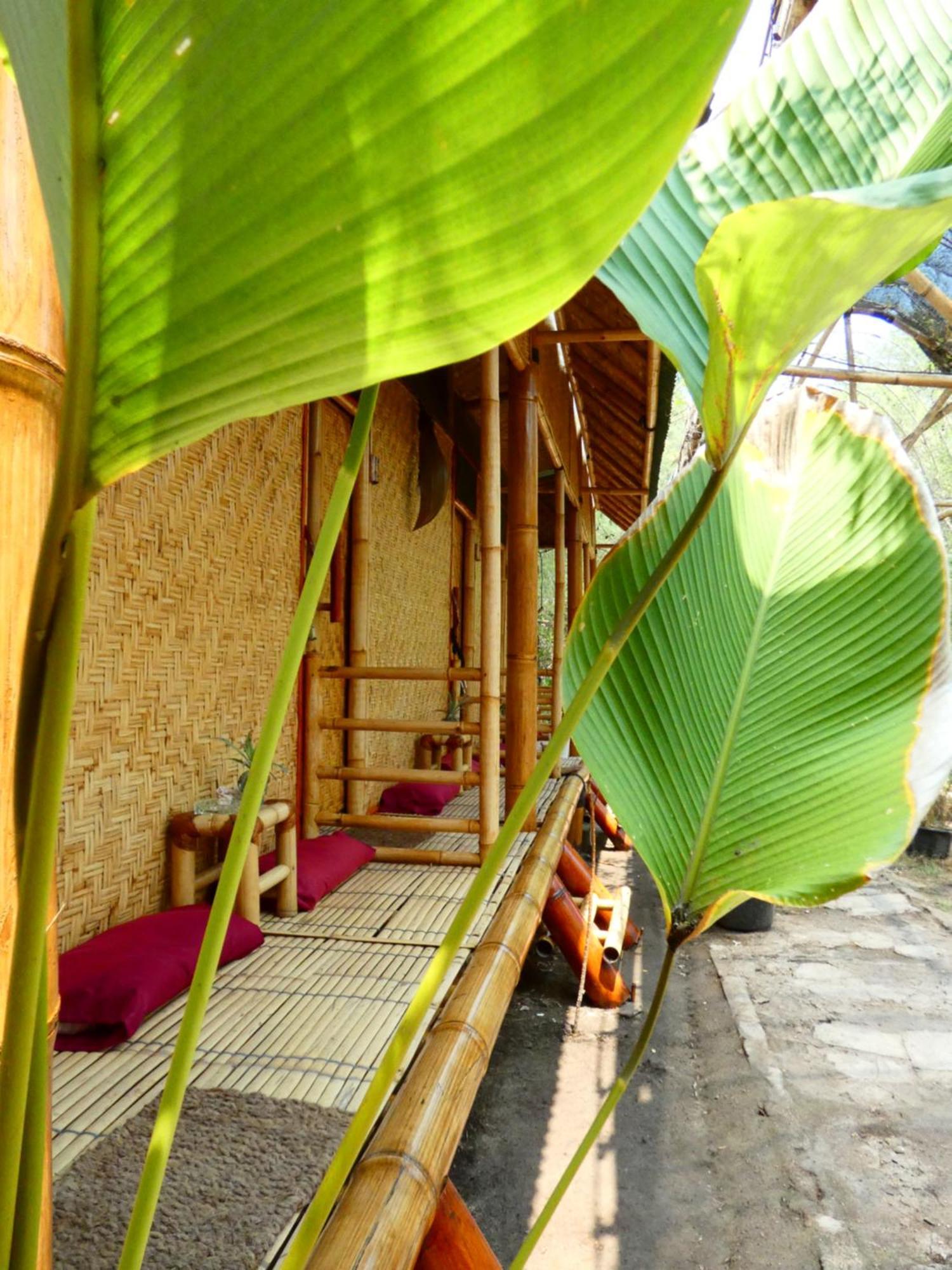 Uncle Hippie'S Dream Hostel Gili Meno Εξωτερικό φωτογραφία